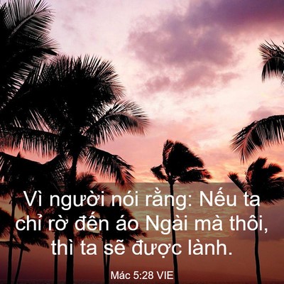 Picture 03 - Mác 5:28 VIE - Vì người nói rằng: Nếu ta chỉ rờ - Bible Verse Picture