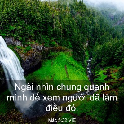 Picture 03 - Mác 5:32 VIE - Ngài nhìn chung quanh mình để xem người - Bible Verse Picture
