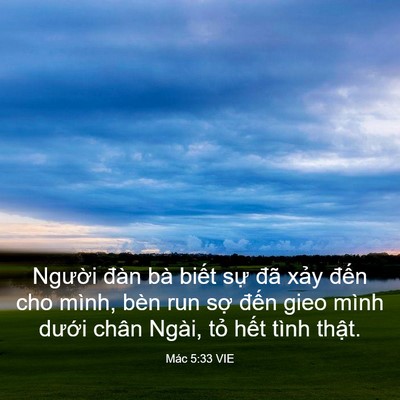 Picture 03 - Mác 5:33 VIE - Người đàn bà biết sự đã xảy đến - Bible Verse Picture