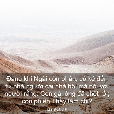 Picture 03 - Mác 5:35 VIE - Đang khi Ngài còn phán, có kẻ đến từ - Bible Verse Picture