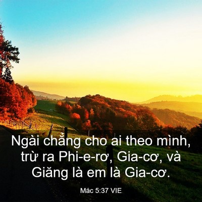 Picture 03 - Mác 5:37 VIE - Ngài chẳng cho ai theo mình, trừ ra - Bible Verse Picture