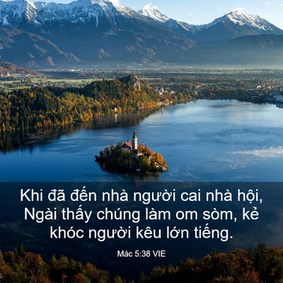 Picture 03 - Mác 5:38 VIE - Khi đã đến nhà người cai nhà hội, - Bible Verse Picture