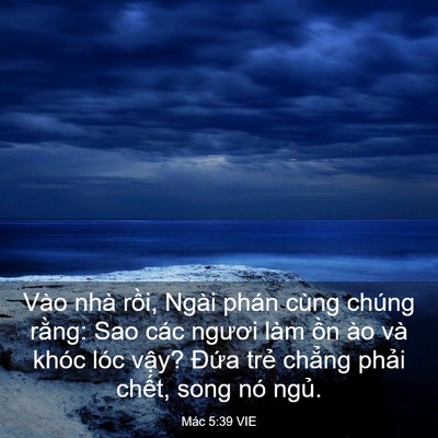 Picture 03 - Mác 5:39 VIE - Vào nhà rồi, Ngài phán cùng chúng rằng: - Bible Verse Picture