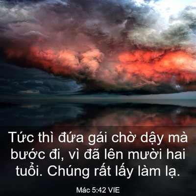 Picture 03 - Mác 5:42 VIE - Tức thì đứa gái chờ dậy mà bước - Bible Verse Picture