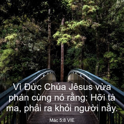 Picture 03 - Mác 5:8 VIE - Vì Đức Chúa Jêsus vừa phán cùng nó - Bible Verse Picture
