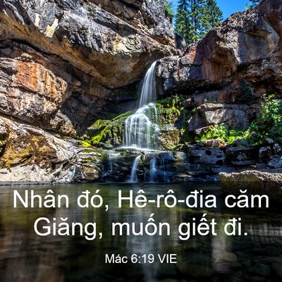 Picture 03 - Mác 6:19 VIE - Nhân đó, Hê-rô-đia căm Giăng, muốn - Bible Verse Picture