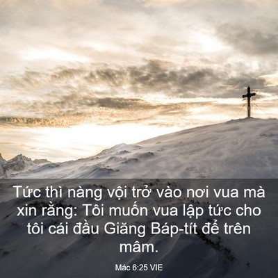 Picture 03 - Mác 6:25 VIE - Tức thì nàng vội trở vào nơi vua mà - Bible Verse Picture