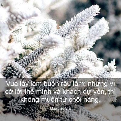 Picture 03 - Mác 6:26 VIE - Vua lấy làm buồn rầu lắm; nhưng vì - Bible Verse Picture