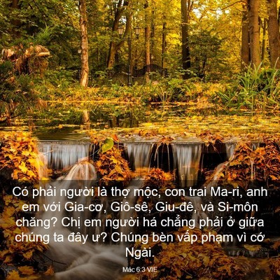 Picture 03 - Mác 6:3 VIE - Có phải người là thợ mộc, con trai - Bible Verse Picture