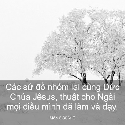 Picture 03 - Mác 6:30 VIE - Các sứ đồ nhóm lại cùng Đức Chúa - Bible Verse Picture