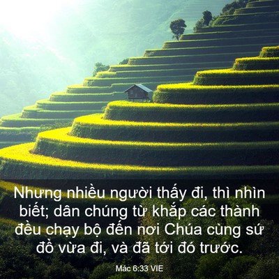 Picture 03 - Mác 6:33 VIE - Nhưng nhiều người thấy đi, thì nhìn - Bible Verse Picture