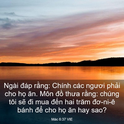 Picture 03 - Mác 6:37 VIE - Ngài đáp rằng: Chính các ngươi phải - Bible Verse Picture
