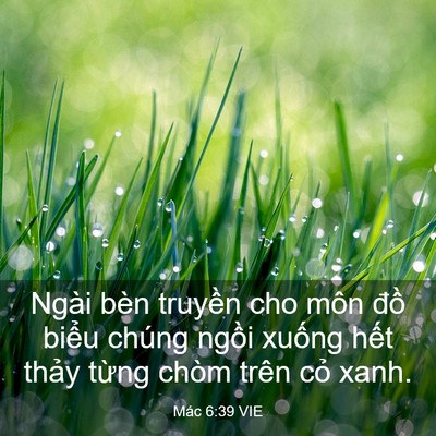 Picture 03 - Mác 6:39 VIE - Ngài bèn truyền cho môn đồ biểu chúng - Bible Verse Picture