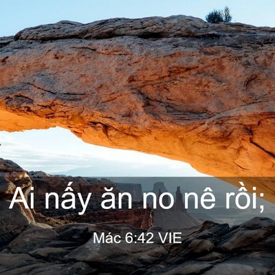 Picture 03 - Mác 6:42 VIE - Ai nấy ăn no nê - Bible Verse Picture