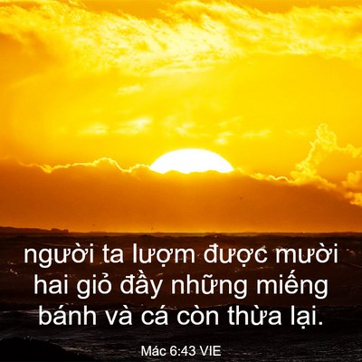 Picture 03 - Mác 6:43 VIE - người ta lượm được mười hai giỏ - Bible Verse Picture