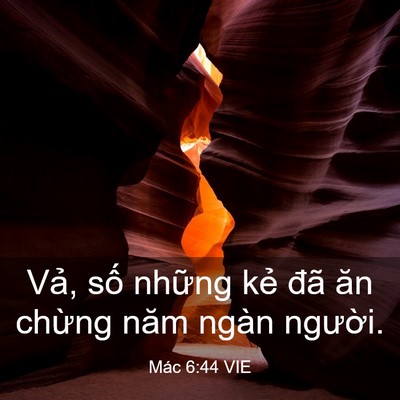 Picture 03 - Mác 6:44 VIE - Vả, số những kẻ đã ăn chừng năm - Bible Verse Picture