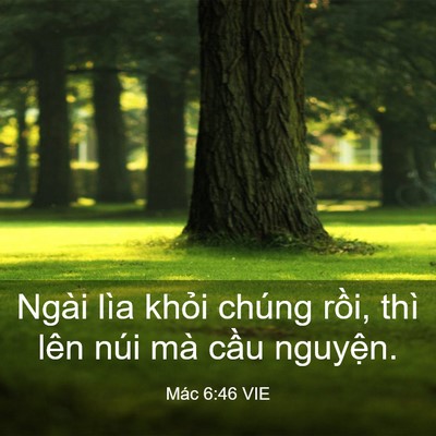 Picture 03 - Mác 6:46 VIE - Ngài lìa khỏi chúng rồi, thì lên núi - Bible Verse Picture