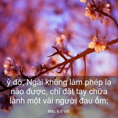 Picture 03 - Mác 6:5 VIE - ỳ đó, Ngài không làm phép lạ nào - Bible Verse Picture