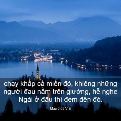 Picture 03 - Mác 6:55 VIE - chạy khắp cả miền đó, khiêng những - Bible Verse Picture