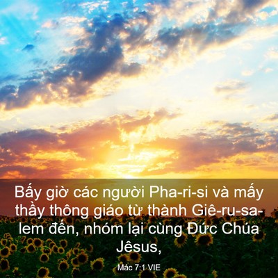 Picture 03 - Mác 7:1 VIE - Bấy giờ các người Pha-ri-si và mấy - Bible Verse Picture