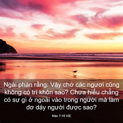 Picture 03 - Mác 7:18 VIE - Ngài phán rằng: Vậy chớ các ngươi - Bible Verse Picture