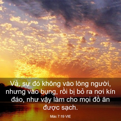 Picture 03 - Mác 7:19 VIE - Vả, sự đó không vào lòng người, - Bible Verse Picture