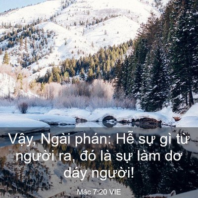 Picture 03 - Mác 7:20 VIE - Vậy, Ngài phán: Hễ sự gì từ người - Bible Verse Picture