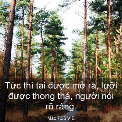 Picture 03 - Mác 7:35 VIE - Tức thì tai được mở ra, lưỡi được - Bible Verse Picture