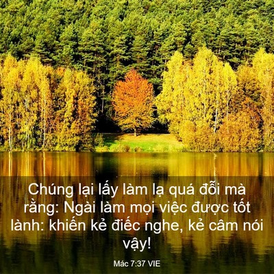 Picture 03 - Mác 7:37 VIE - Chúng lại lấy làm lạ quá đỗi mà - Bible Verse Picture