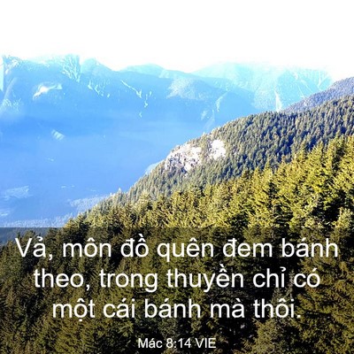 Picture 03 - Mác 8:14 VIE - Vả, môn đồ quên đem bánh theo, trong - Bible Verse Picture