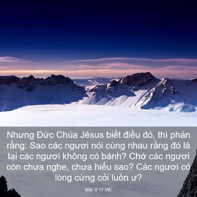 Picture 03 - Mác 8:17 VIE - Nhưng Đức Chúa Jêsus biết điều đó, - Bible Verse Picture