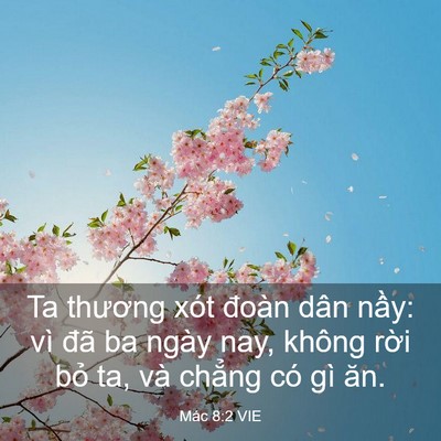 Picture 03 - Mác 8:2 VIE - Ta thương xót đoàn dân nầy: vì đã ba - Bible Verse Picture