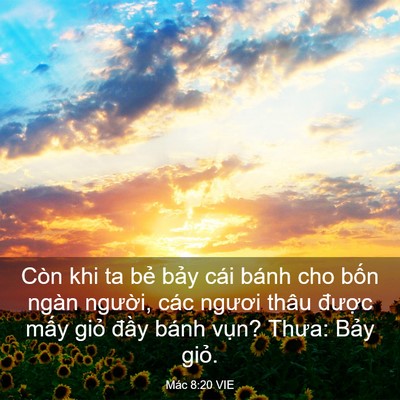 Picture 03 - Mác 8:20 VIE - Còn khi ta bẻ bảy cái bánh cho bốn ngàn - Bible Verse Picture