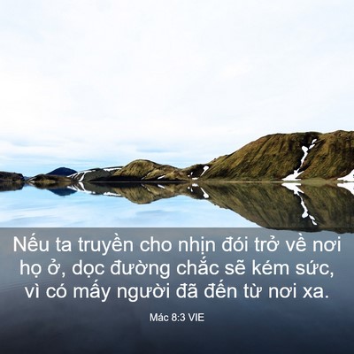 Picture 03 - Mác 8:3 VIE - Nếu ta truyền cho nhịn đói trở về - Bible Verse Picture