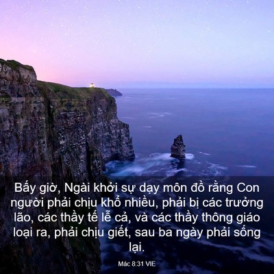 Picture 03 - Mác 8:31 VIE - Bấy giờ, Ngài khởi sự dạy môn đồ - Bible Verse Picture