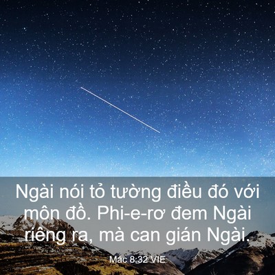 Picture 03 - Mác 8:32 VIE - Ngài nói tỏ tường điều đó với môn - Bible Verse Picture