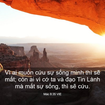 Picture 03 - Mác 8:35 VIE - Vì ai muốn cứu sự sống mình thì sẽ - Bible Verse Picture
