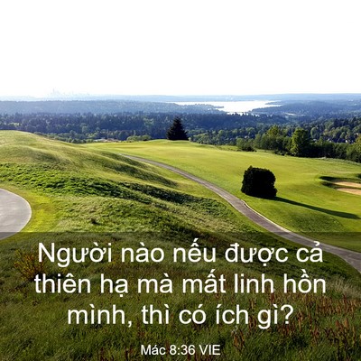 Picture 03 - Mác 8:36 VIE - Người nào nếu được cả thiên hạ mà - Bible Verse Picture