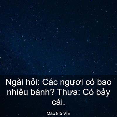 Picture 03 - Mác 8:5 VIE - Ngài hỏi: Các ngươi có bao nhiêu bánh? - Bible Verse Picture