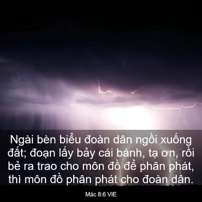 Picture 03 - Mác 8:6 VIE - Ngài bèn biểu đoàn dân ngồi xuống - Bible Verse Picture