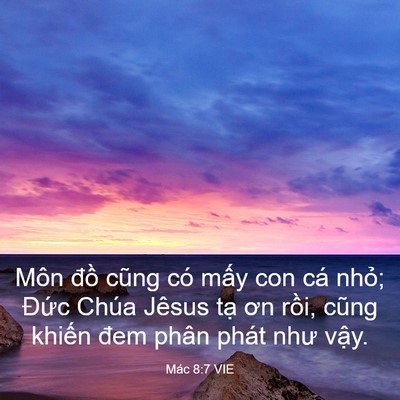 Picture 03 - Mác 8:7 VIE - Môn đồ cũng có mấy con cá nhỏ; Đức - Bible Verse Picture