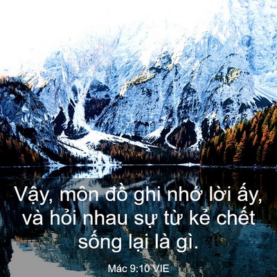 Picture 03 - Mác 9:10 VIE - Vậy, môn đồ ghi nhớ lời ấy, và hỏi - Bible Verse Picture