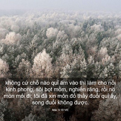 Picture 03 - Mác 9:18 VIE - không cứ chỗ nào quỉ ám vào thì làm - Bible Verse Picture