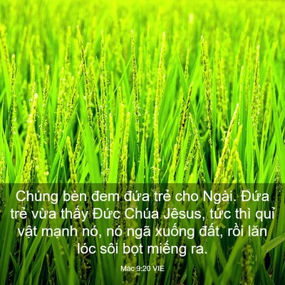 Picture 03 - Mác 9:20 VIE - Chúng bèn đem đứa trẻ cho Ngài. Đứa - Bible Verse Picture