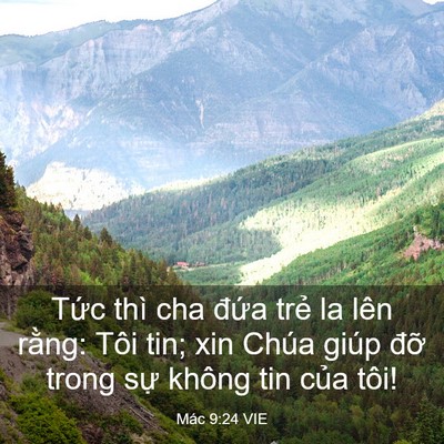 Picture 03 - Mác 9:24 VIE - Tức thì cha đứa trẻ la lên rằng: Tôi - Bible Verse Picture