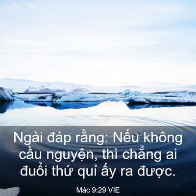 Picture 03 - Mác 9:29 VIE - Ngài đáp rằng: Nếu không cầu nguyện, - Bible Verse Picture