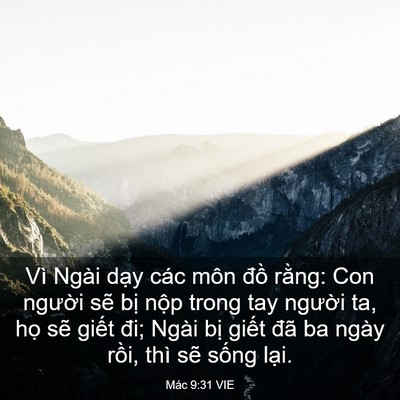 Picture 03 - Mác 9:31 VIE - Vì Ngài dạy các môn đồ rằng: Con - Bible Verse Picture
