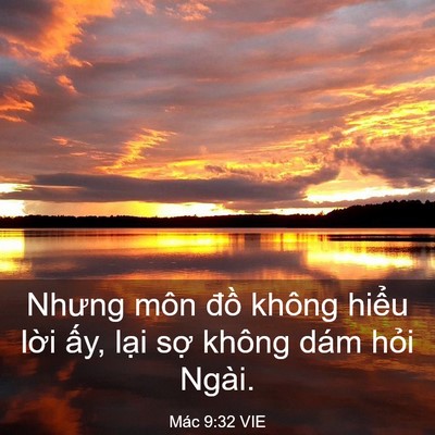 Picture 03 - Mác 9:32 VIE - Nhưng môn đồ không hiểu lời ấy, lại - Bible Verse Picture