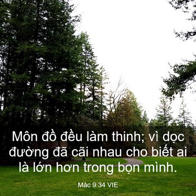 Picture 03 - Mác 9:34 VIE - Môn đồ đều làm thinh; vì dọc đường - Bible Verse Picture