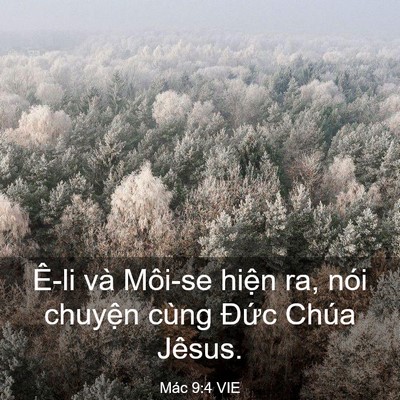 Picture 03 - Mác 9:4 VIE - Ê-li và Môi-se hiện ra, nói chuyện cùng - Bible Verse Picture